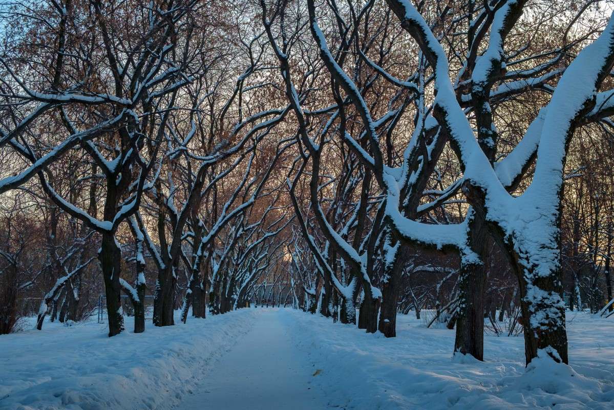 �������� ����.. ����� ������  �� PhotoGeek.ru #������ ��� ������� #���������