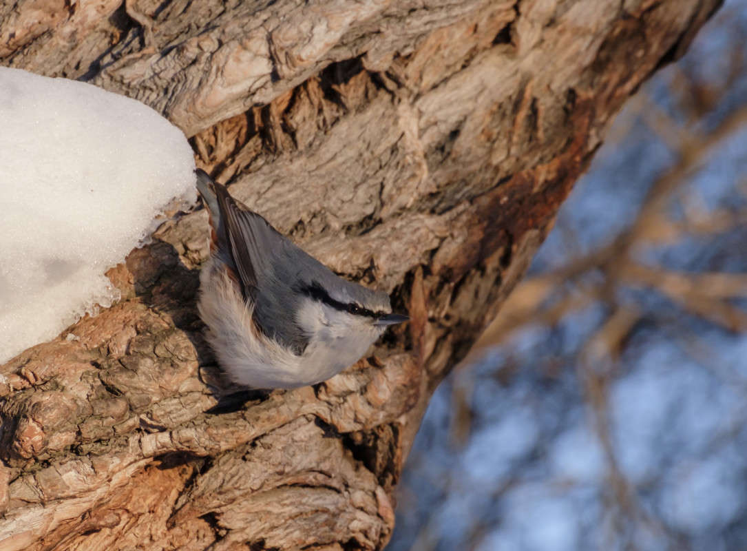 ���������.. ����� ������  �� PhotoGeek.ru #�������� ��� #����� ��� ��� ���������