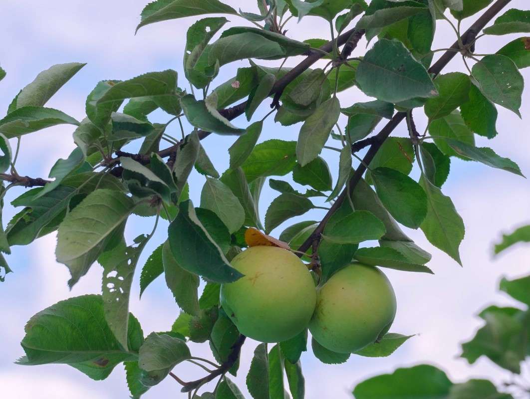 �������� ����! ����� ������  �� PhotoGeek.ru #������ ��� ������� #����� ��������������