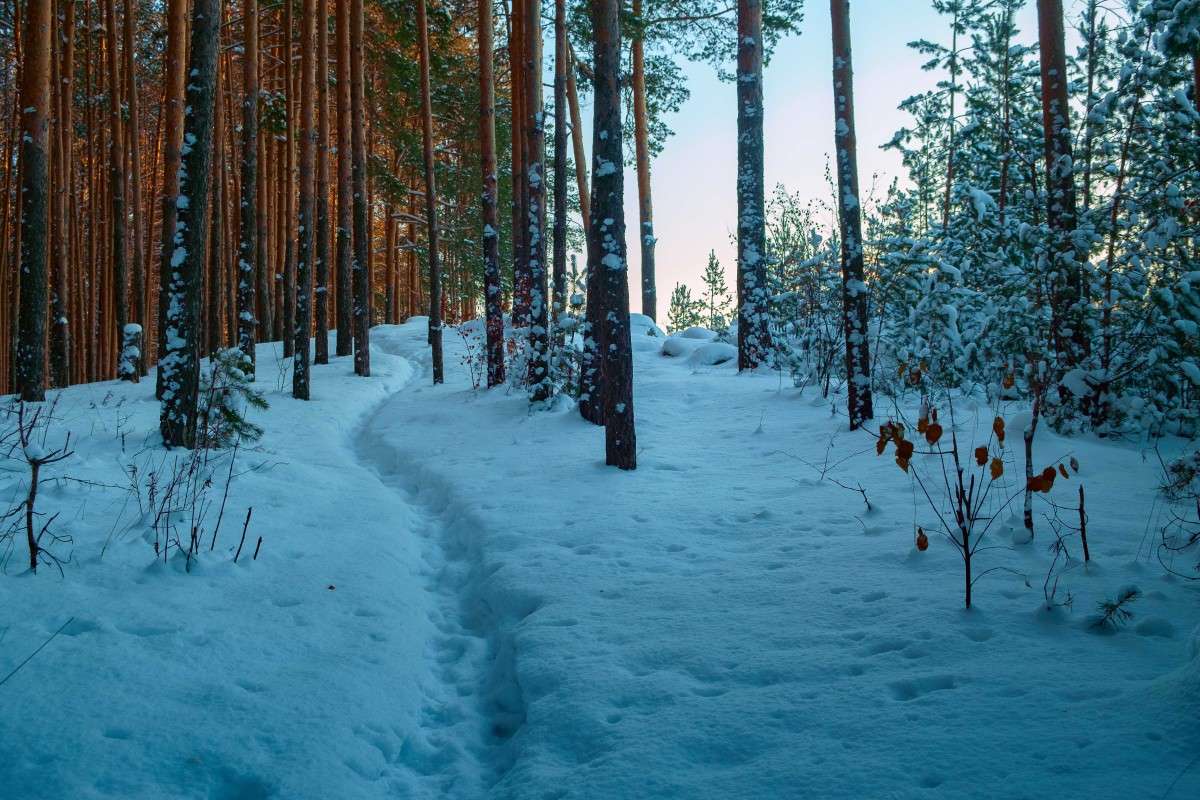 ������ ������... ����� ������  �� PhotoGeek.ru #������ ��� ������� #����� ��������������