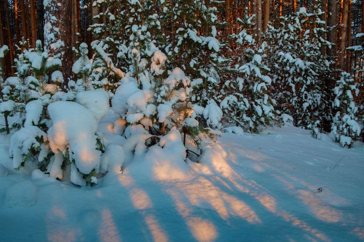 ������ ������-2 ����� ������  �� PhotoGeek.ru #������ ��� ������� #����� ��������������