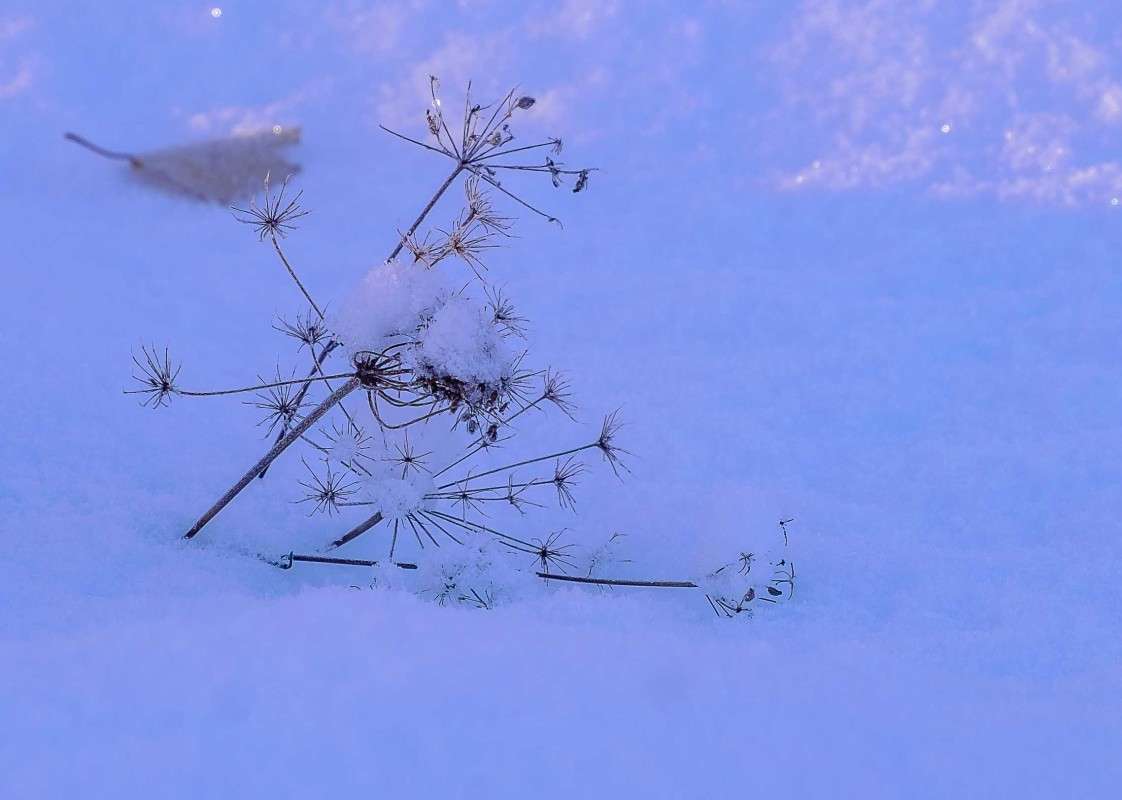 .... ����� ������  �� PhotoGeek.ru #������ ��� ������� #���������