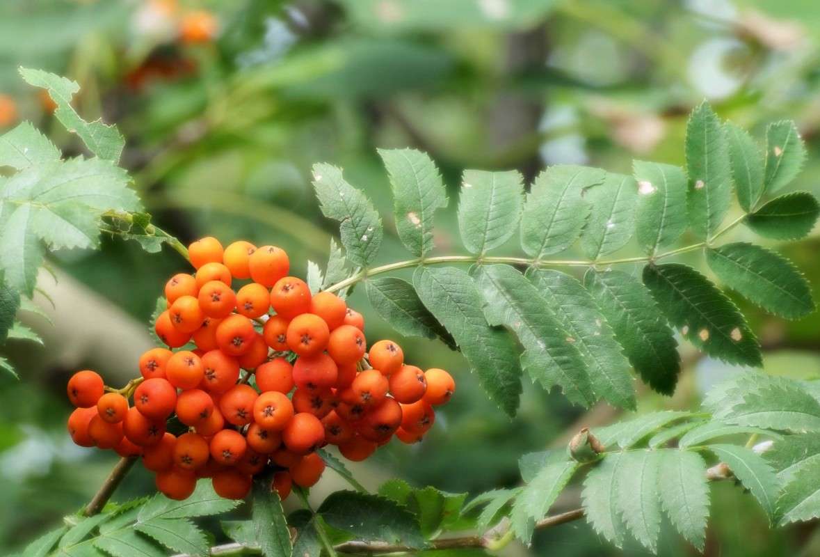 �������� ����.. ����� ������  �� PhotoGeek.ru #������ ��� ������� #����� ��������������