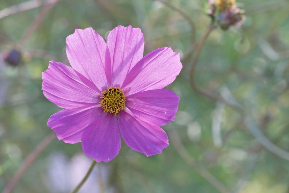 ...... ����� ������  �� PhotoGeek.ru #������ ��� ������� #����� ��������������