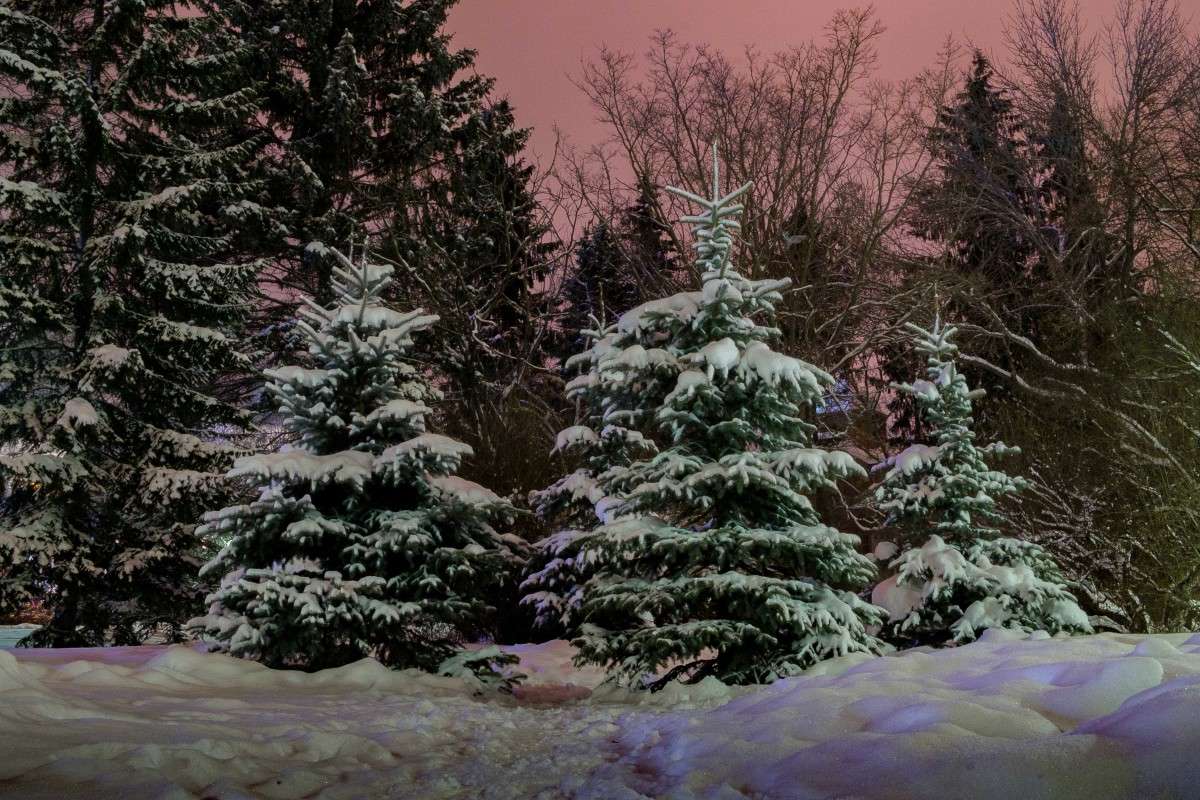 ... ����� ������  �� PhotoGeek.ru #������ ��� ������� #����� ��������������