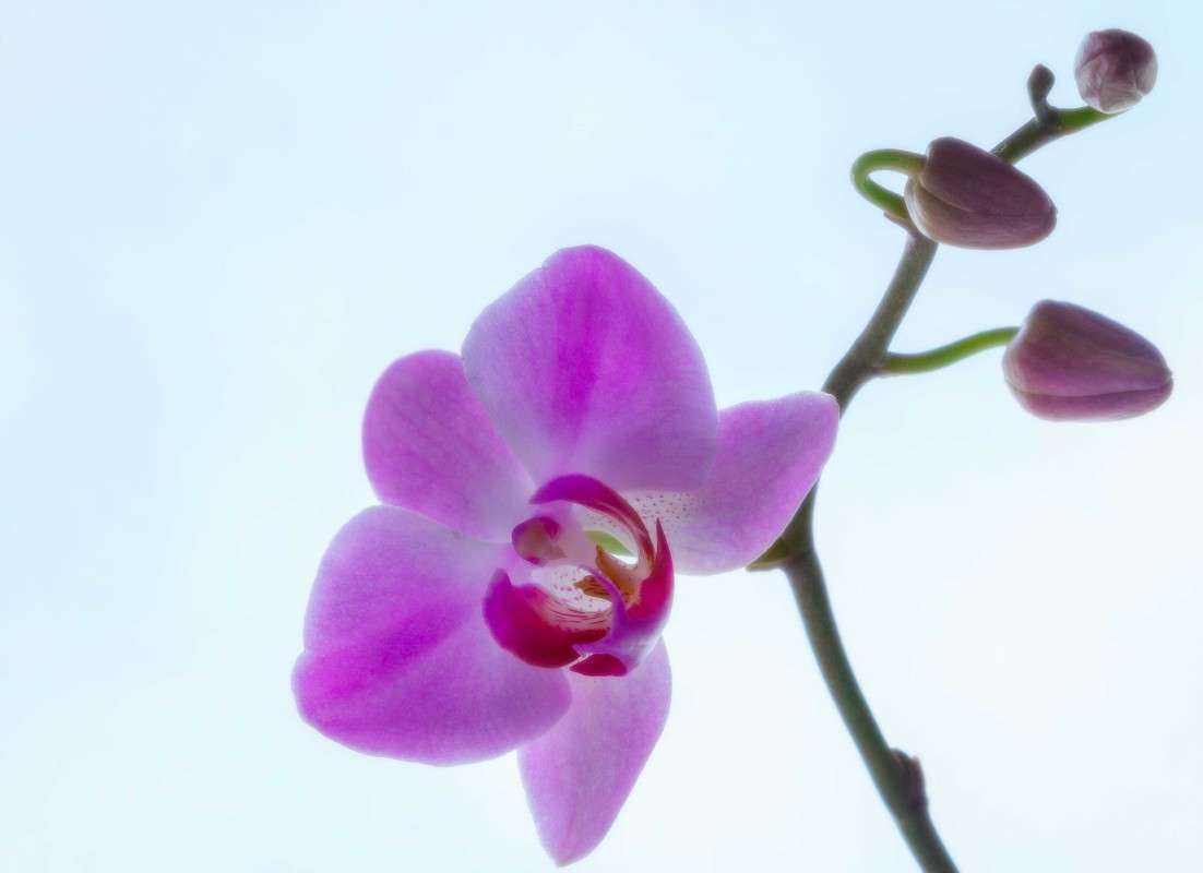 .... ����� ������  �� PhotoGeek.ru #������ ��� ������� #�������� ���������� #����� ��������������