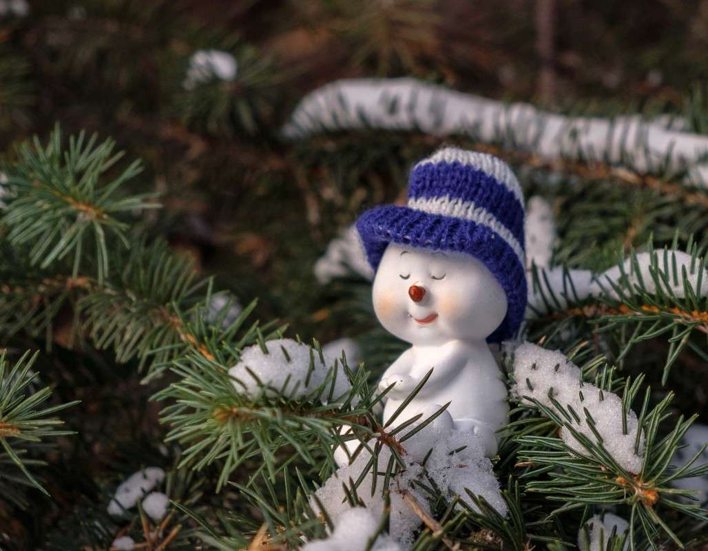 ��� ����-2 ����� ������  �� PhotoGeek.ru #�������� ���������� #�������������