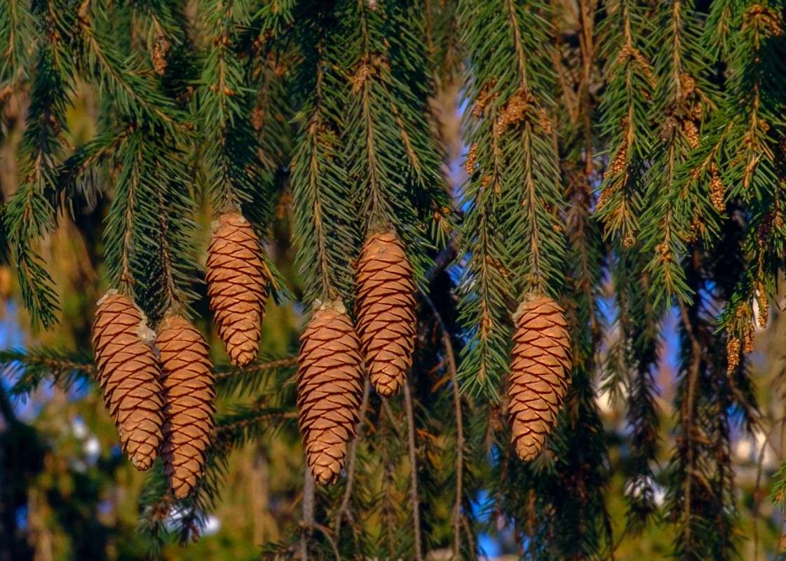 .... ����� ������  �� PhotoGeek.ru #������ ��� ������� #����� ��������������