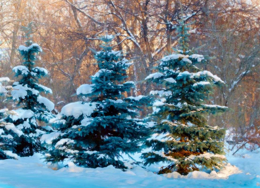 ���! �������� ��� ���� ����� ���.... ����� ������  �� PhotoGeek.ru #������ ��� ������� #����� ��������������