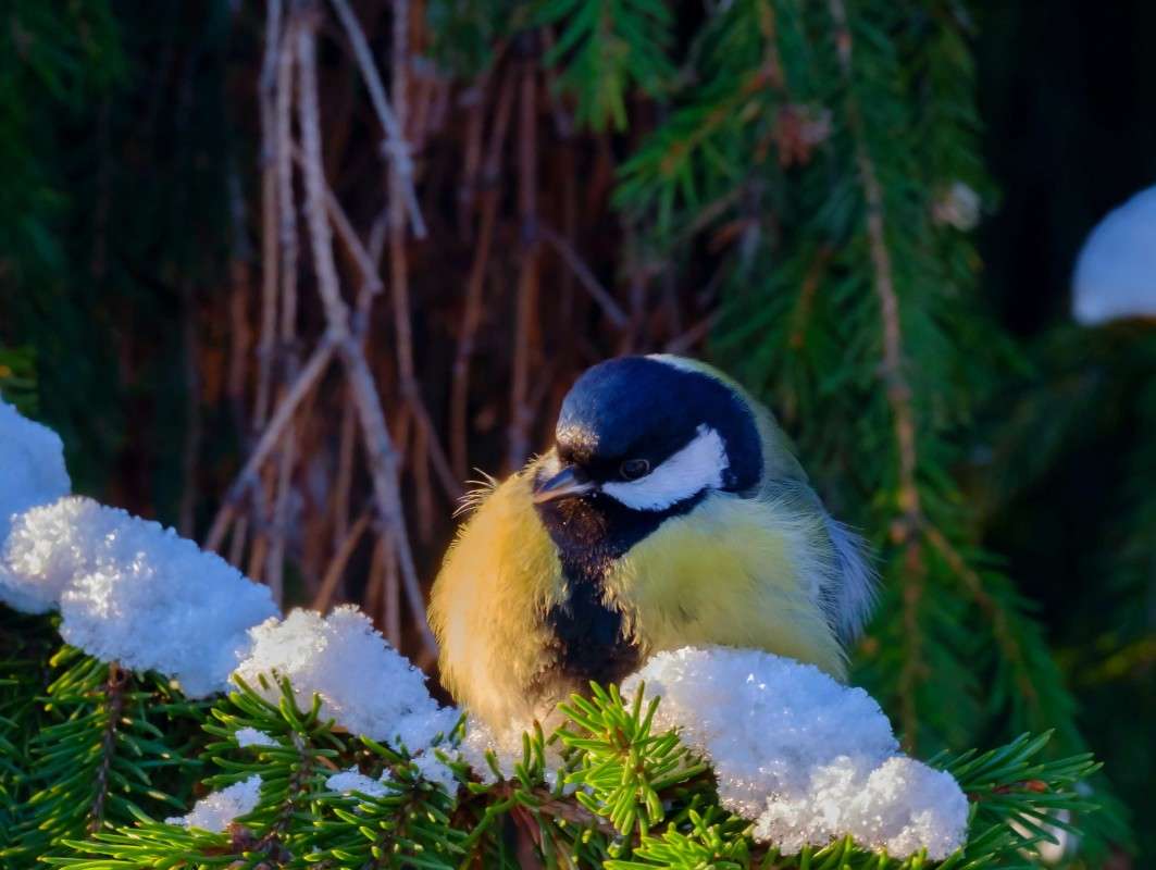 ������-�������... ����� ������  �� PhotoGeek.ru #�������� ��� #����� ��� ��� ���������