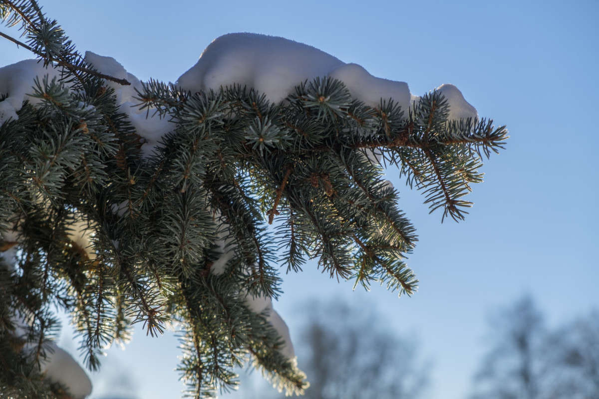 ������ ����.. ����� ������  �� PhotoGeek.ru #������ ��� ������� #����� �������������� #���������