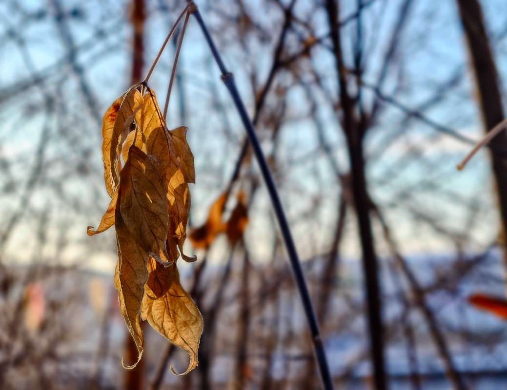 ������ ������... ����� ������  �� PhotoGeek.ru #������ ��� ������� #����� �������������� #���������