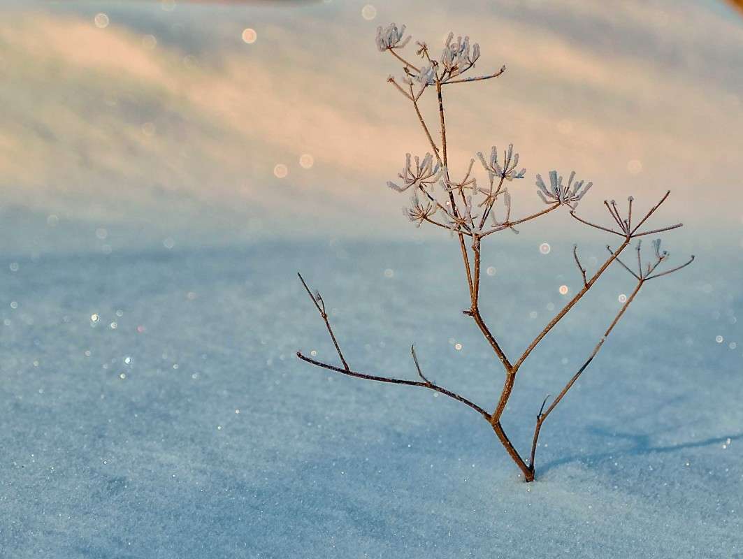 ������ ���� ����� ������  �� PhotoGeek.ru #������ ��� ������� #���������