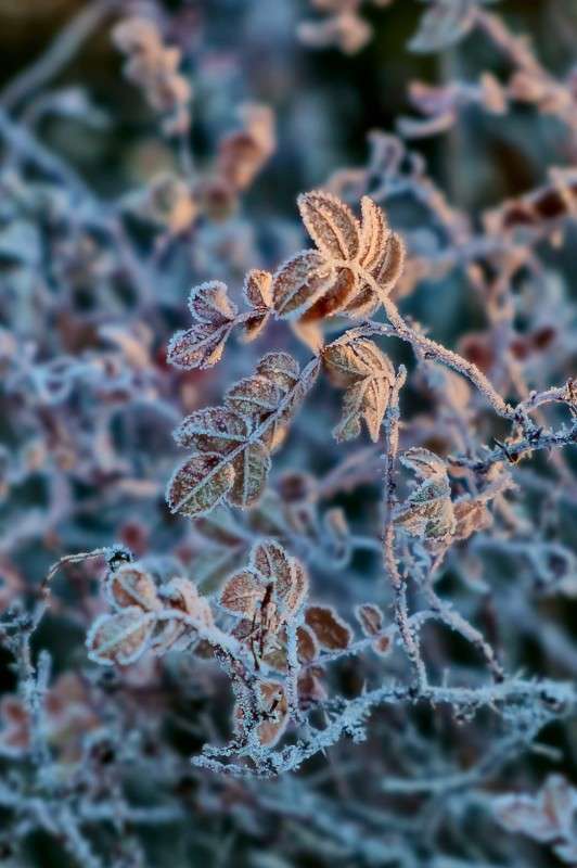 ������� ������� ����... ����� ������  �� PhotoGeek.ru #������ ��� ������� #����� ��������������