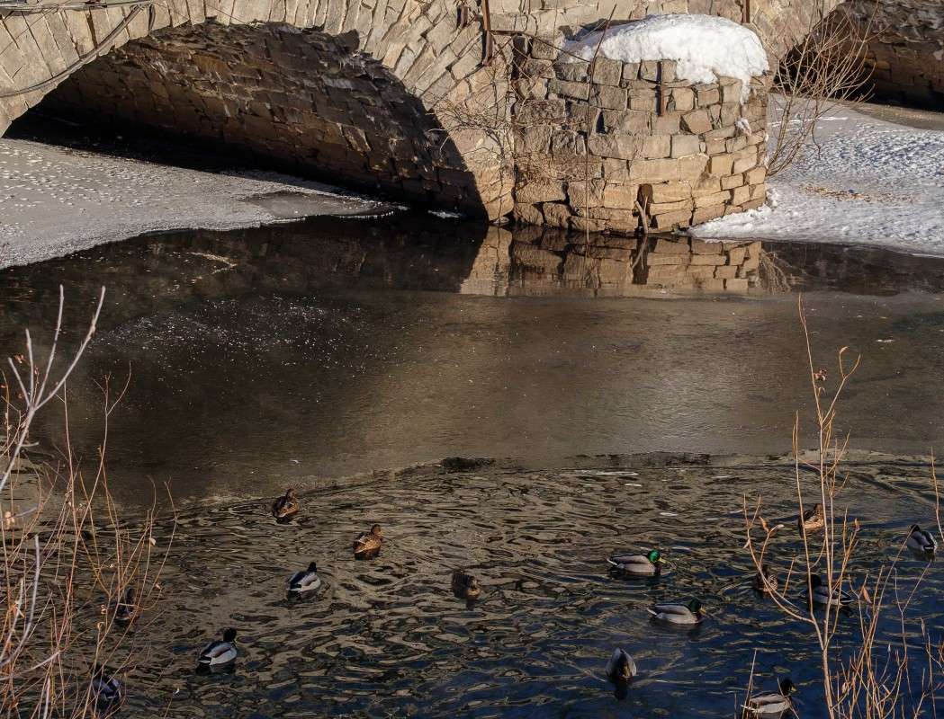 � ������� �����... ����� ������  �� PhotoGeek.ru #����� #��������� ������