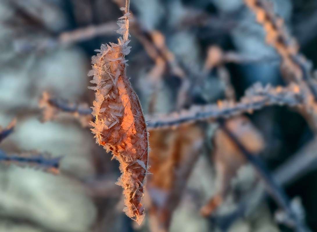 .... ����� ������  �� PhotoGeek.ru #������ ��� ������� #���������