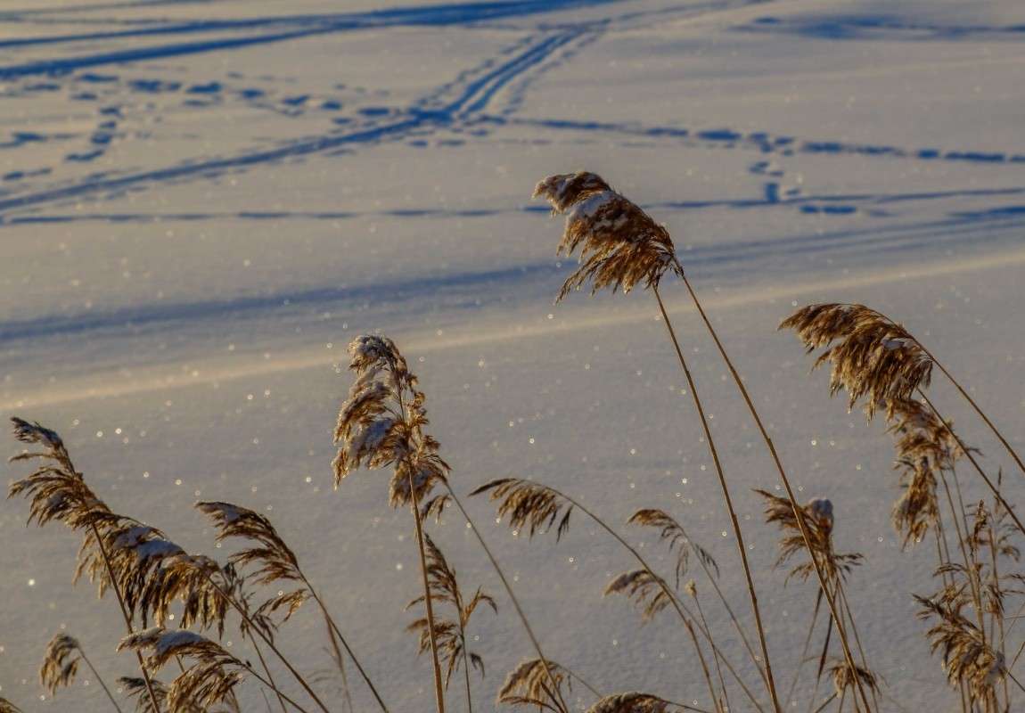 ����� ������..... ����� ������  �� PhotoGeek.ru #������ ��� ������� #���������