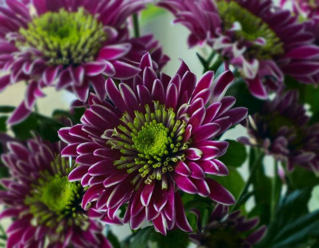 ... ����� ������  �� PhotoGeek.ru #������ ��� ������� #����� ��������������