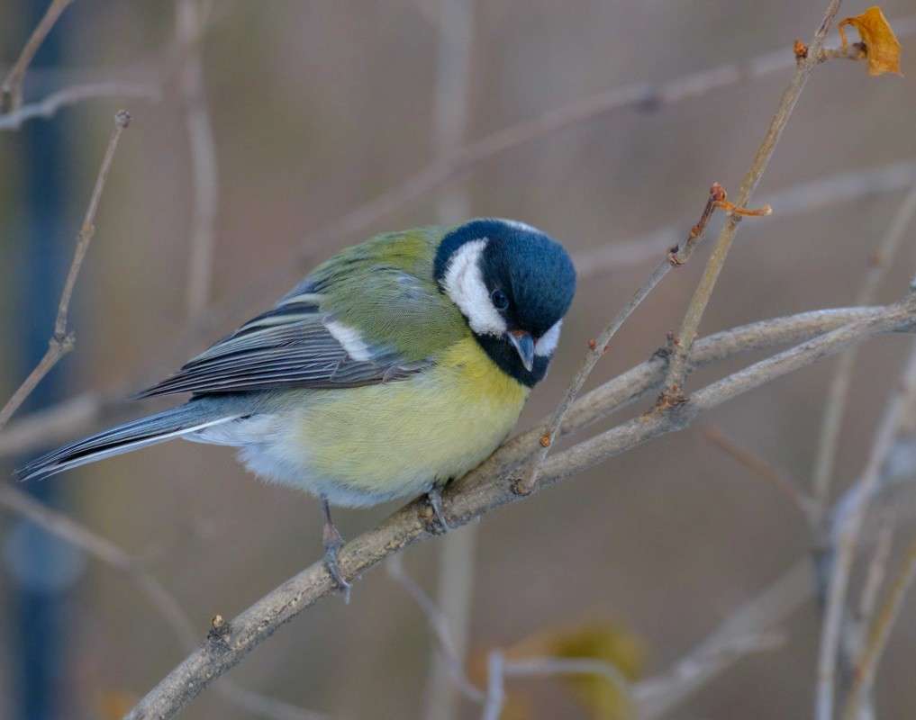 �������� ����� ������  �� PhotoGeek.ru #�������� ��� #����� ��� ��� ���������