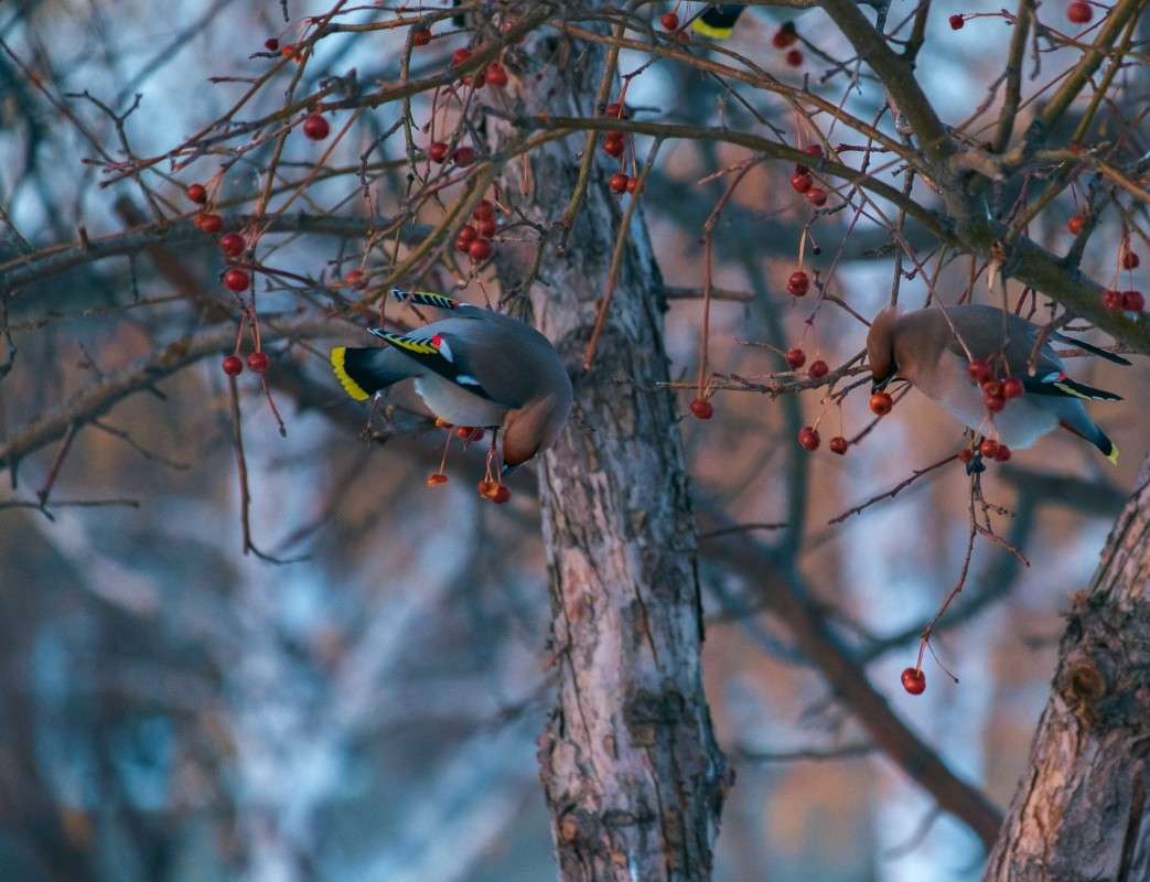 ���������....... ����� ������  �� PhotoGeek.ru #�������� ��� #����� ��� ��� ���������