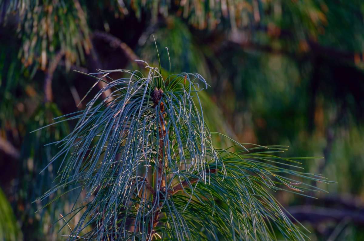 ���� ��������... ����� ������  �� PhotoGeek.ru #������ ��� ������� #����� ��������������