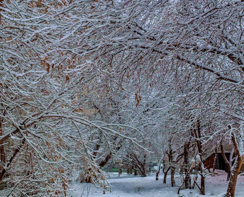 ���� ��� ������ ����� ������  �� PhotoGeek.ru #������ ��� ������� #���������