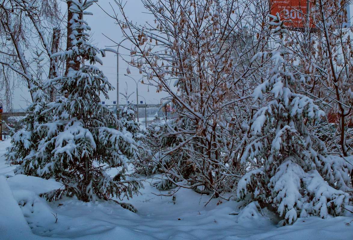 ���� 30 �����... ����� ������  �� PhotoGeek.ru #����� #������ ��� ������� #���������