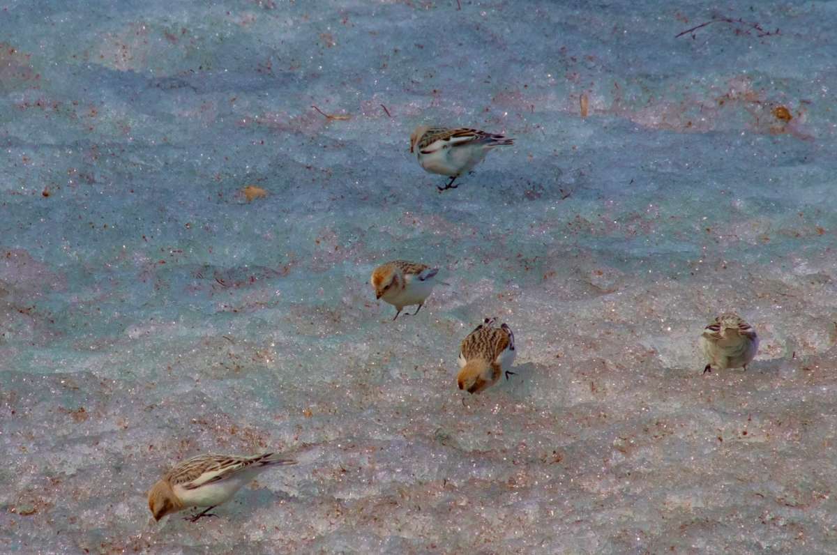 �������� �������... ����� ������  �� PhotoGeek.ru #�������� ��� #����� ��� ��� ���������