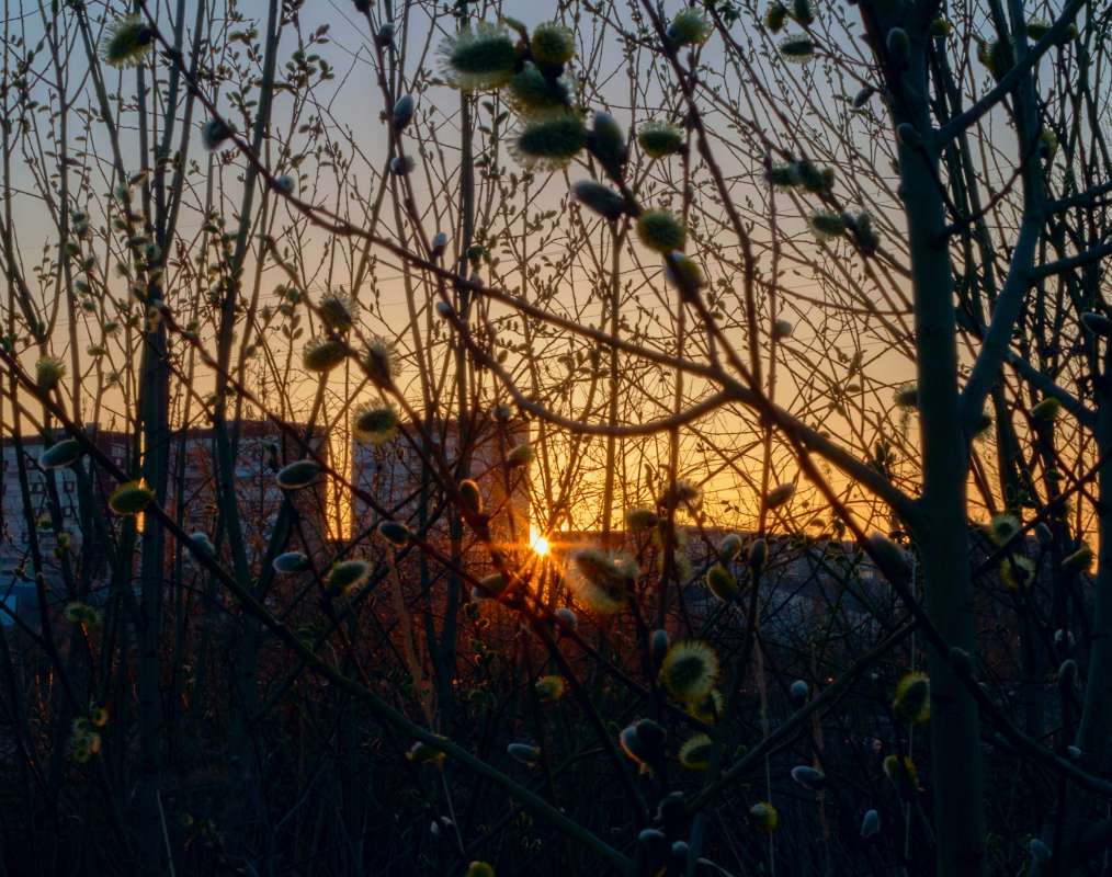 ������� ����� ������� ����! ����� ������  �� PhotoGeek.ru #����� #��������� ������