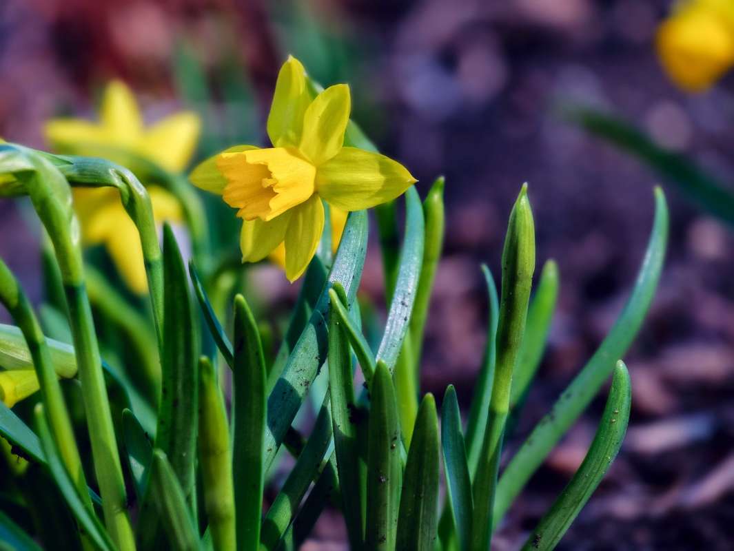 �������� ����� ������  �� PhotoGeek.ru #������ ��� ������� #����� ��������������