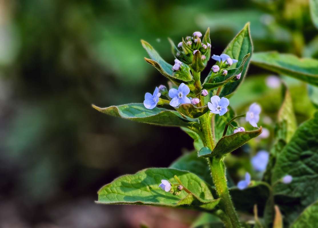 �������� ����� ������  �� PhotoGeek.ru #������ ��� ������� #����� ��������������