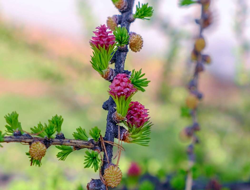 ��� ����� ���������� ����� ������  �� PhotoGeek.ru #������ ��� ������� #����� ��������������