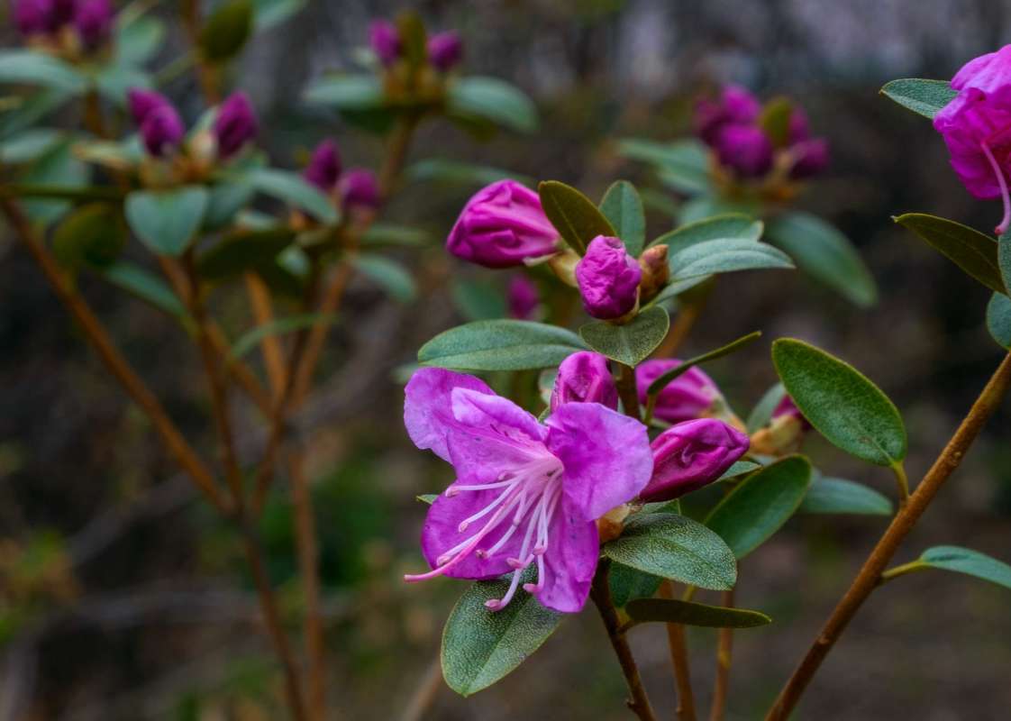 �������� ����� ������  �� PhotoGeek.ru #������ ��� ������� #����� ��������������