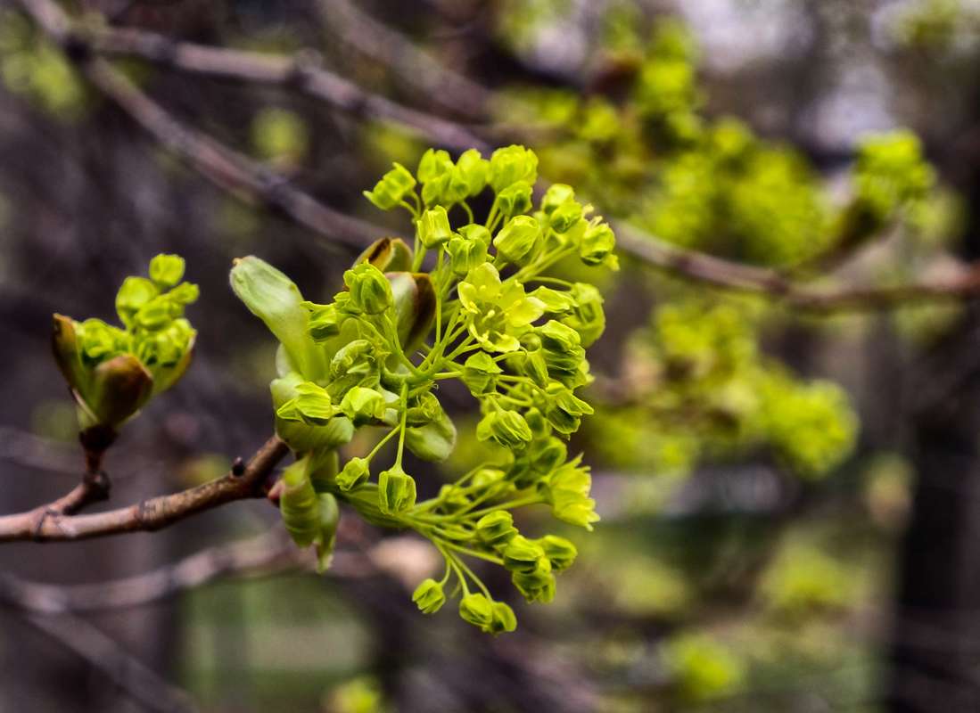 �������� ����� ������  �� PhotoGeek.ru #������ ��� ������� #����� ��������������