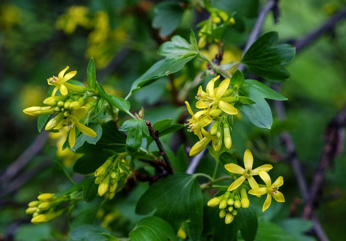 ��������... ����� ������  �� PhotoGeek.ru #������ ��� ������� #����� ��������������