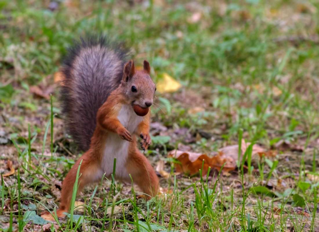 � ��-�� ������! ����� ������  �� PhotoGeek.ru #�������� ���