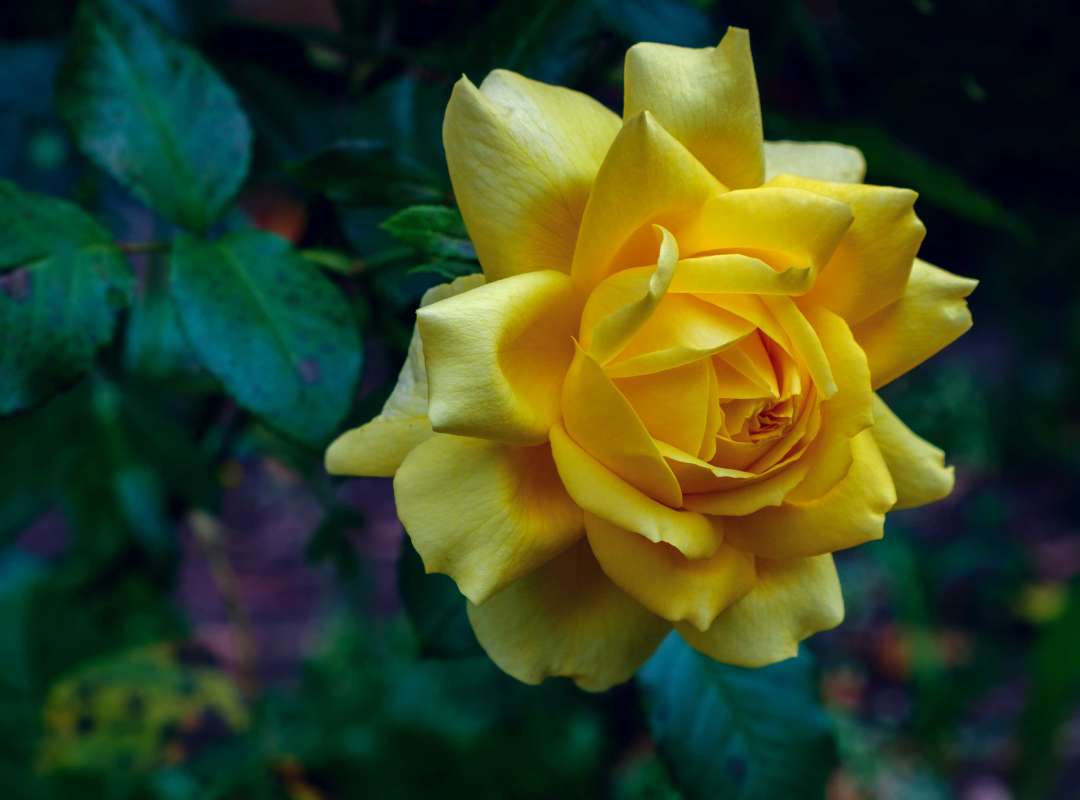 ������ ����... ����� ������  �� PhotoGeek.ru #������ ��� �������