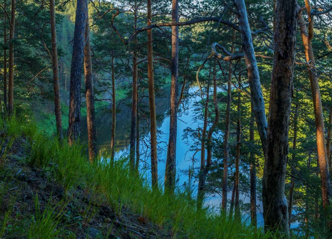 ������ ����... ����� ������  �� PhotoGeek.ru #������ ��� �������