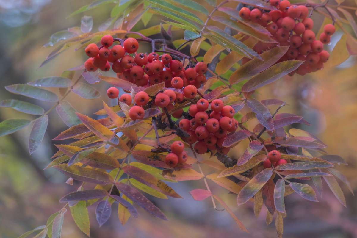 ��������� �������... ����� ������  �� PhotoGeek.ru #������ ��� ������� #���������