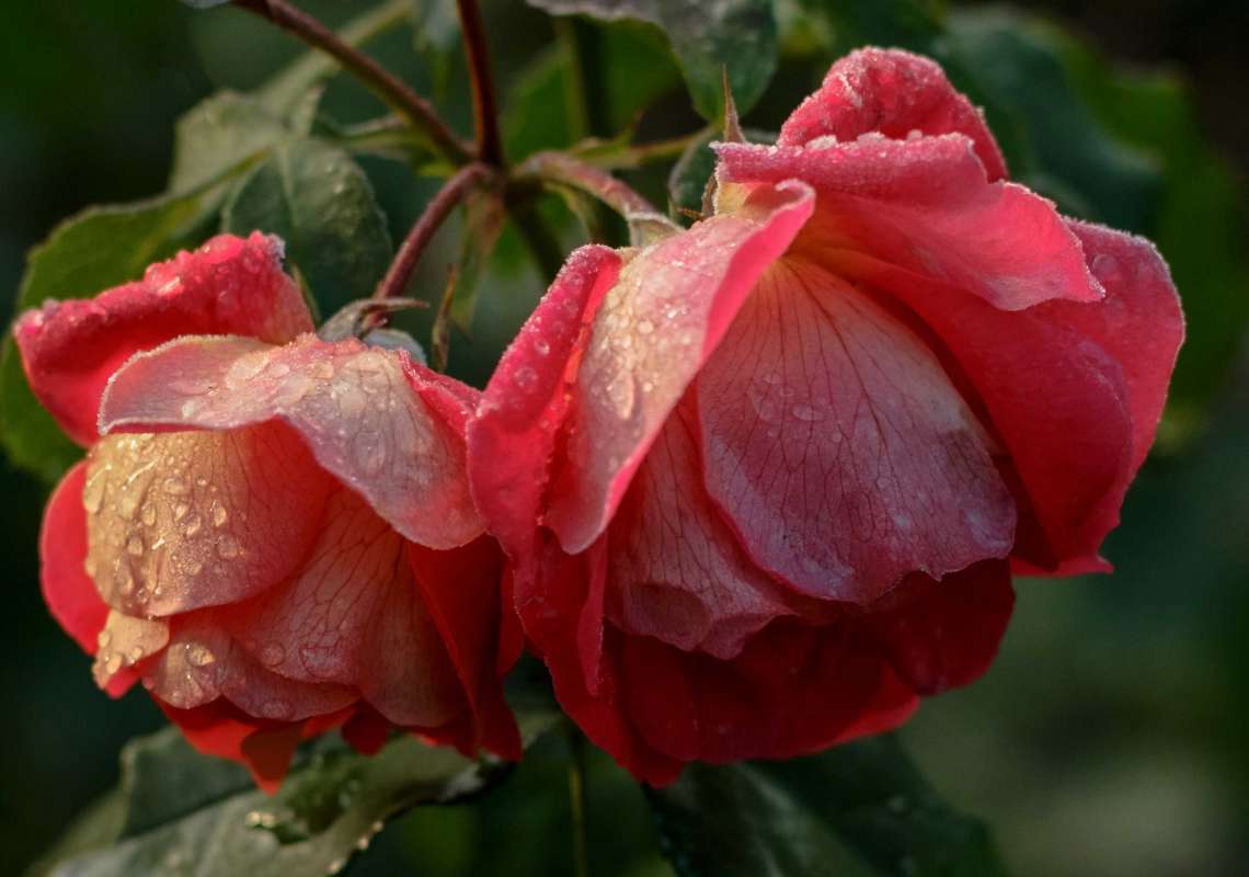 ����� � ���� ����� ������  �� PhotoGeek.ru #�������� ��� #������ ��� ������� #����� ��������������