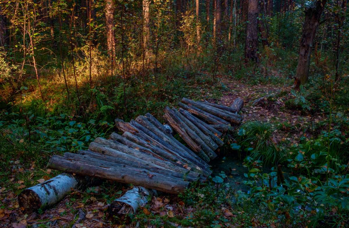 ������ ����� ������  �� PhotoGeek.ru #������ ��� �������