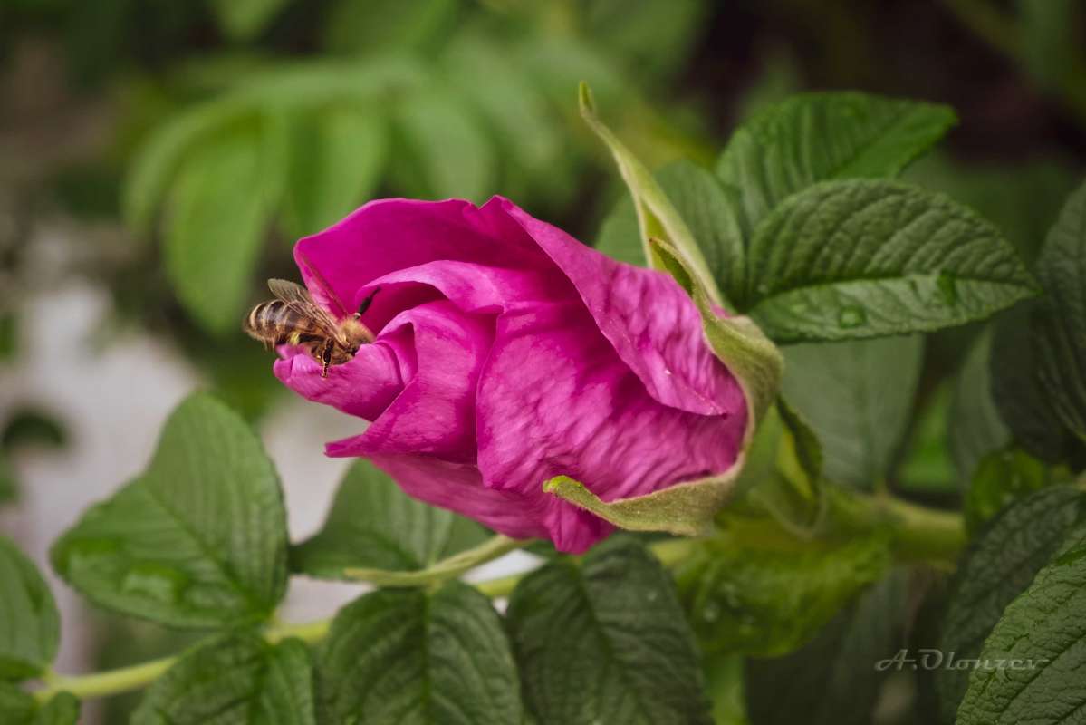 ��� ��� �������? ����� ������  �� PhotoGeek.ru #�������� ��� #����� ��� ��� ���������