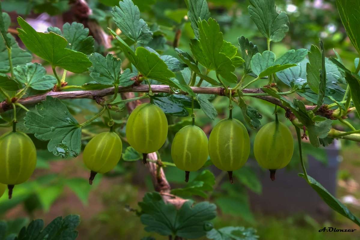 ������� ������� ����� ������  �� PhotoGeek.ru #������ ��� ������� #����� ��������������