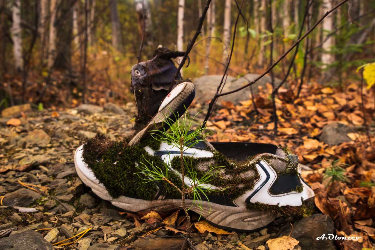 ����� ������� ����� ������  �� PhotoGeek.ru #�������� ���������� #���������������