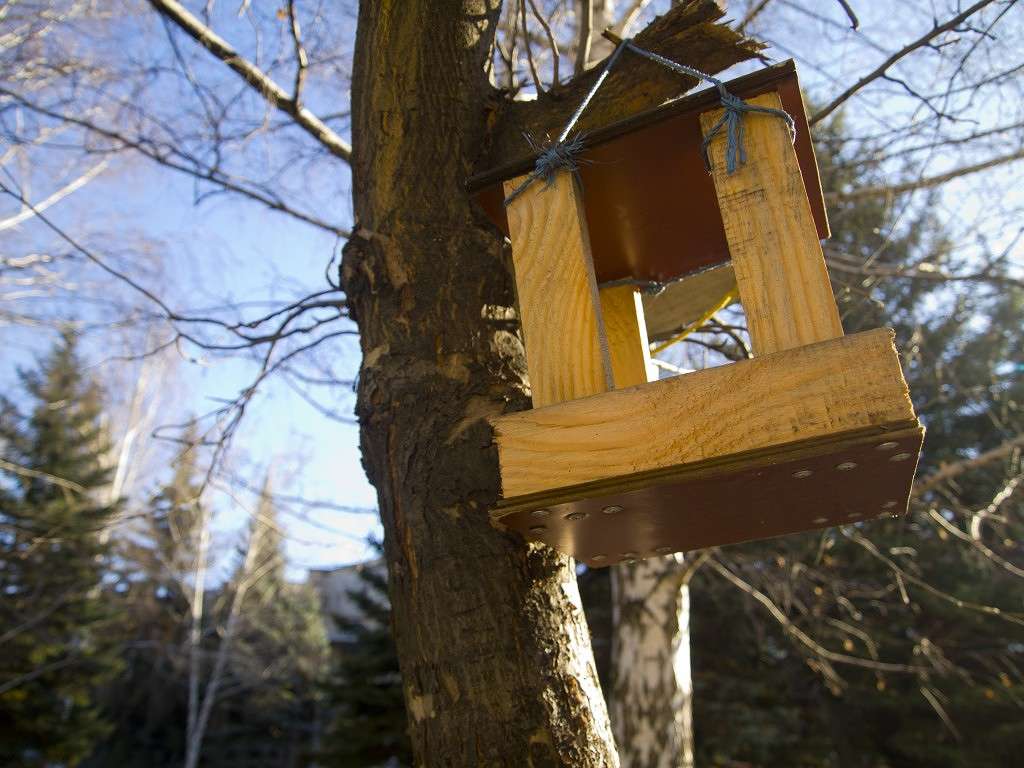 �������� ����� ������� ������� �� PhotoGeek.ru #����� #�����-���