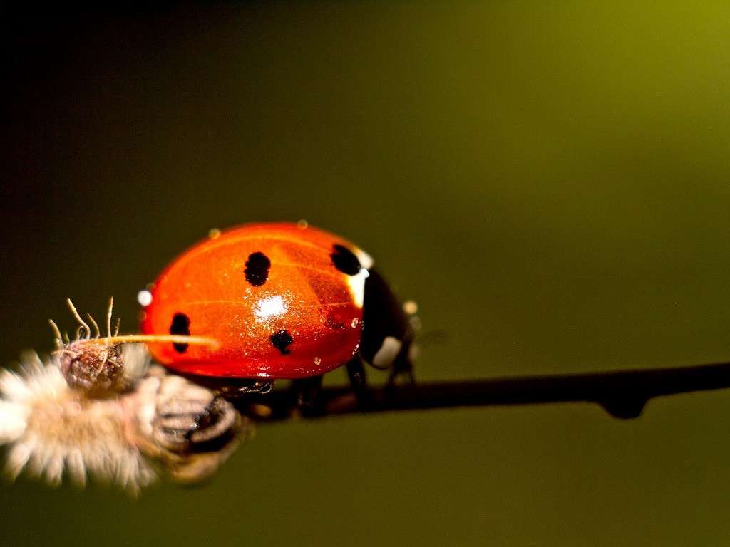 ����� ������� ����� ������� ������� �� PhotoGeek.ru #����� #�������� ��� #���������