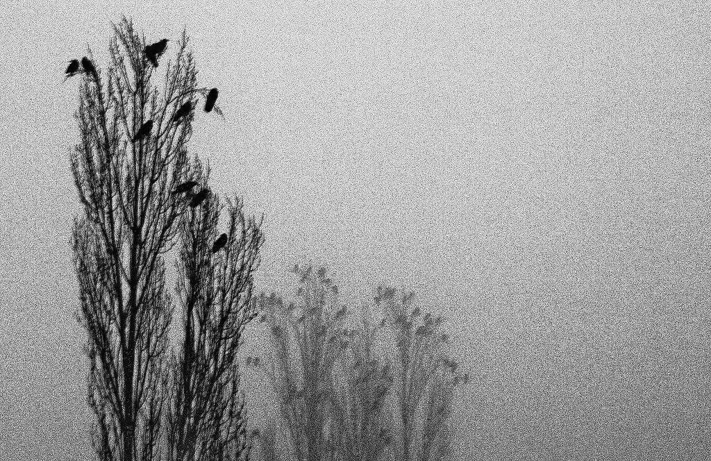 �������� ���� ����� ������� ������� �� PhotoGeek.ru #����� #�������� ��� #������ ��� ������� #����� ��� ��� ��������� #�����-�����