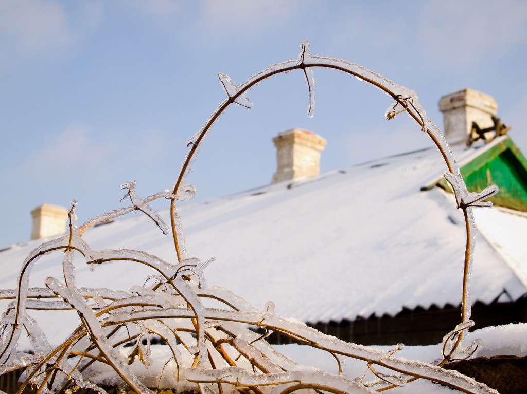 � ������ ���� ����� ������� ������� �� PhotoGeek.ru #��������� #������ ��� ������� #����� �������������� #���������������