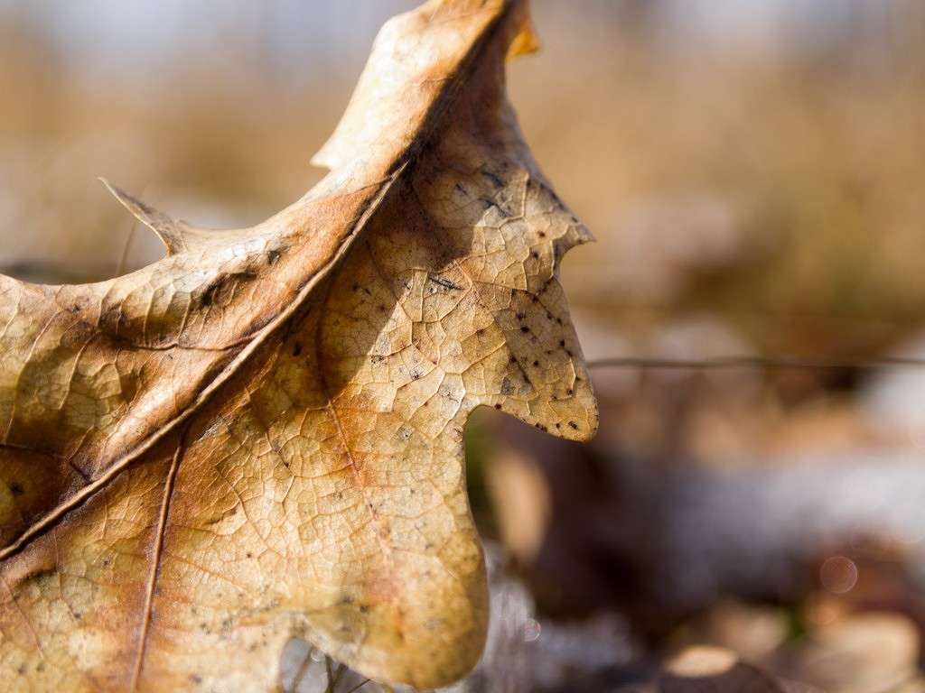 ������������ ��������� ���� ����� ������� ������� �� PhotoGeek.ru #����� #������ ��� ������� #����� ���� #����