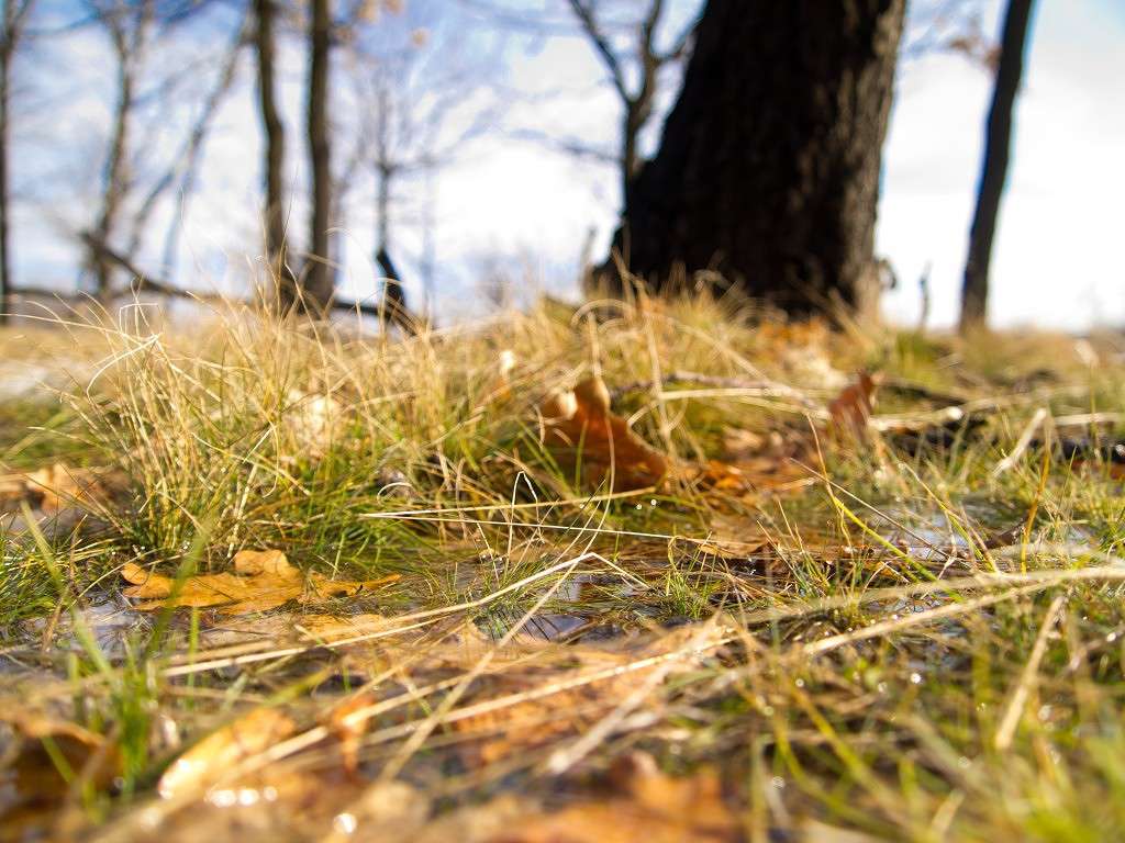 ��������� ����� ������� ������� �� PhotoGeek.ru #����� #������ ��� ������� #����� ��������������